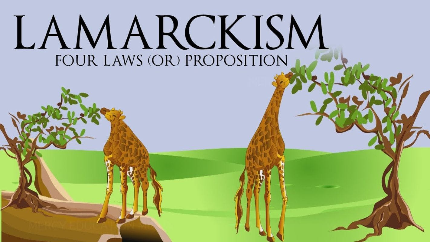 Critically Examine Lamarck Theory of Evolution. (15 Marks)
